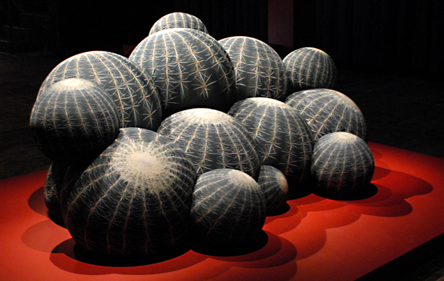 Canape Cactus di Maurizio Galante per Cerruti Baleri. Ph. Silvia Dogliani
