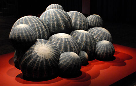 Canape Cactus di Maurizio Galante per Cerruti Baleri. Ph. Silvia Dogliani