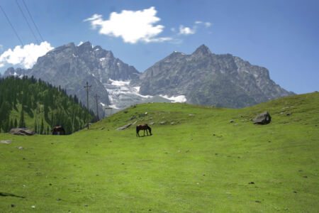 Sonamarg, Kashmir. Ph. Angelo Redaelli
