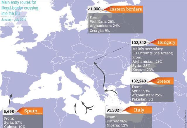 Flissi migratori_640