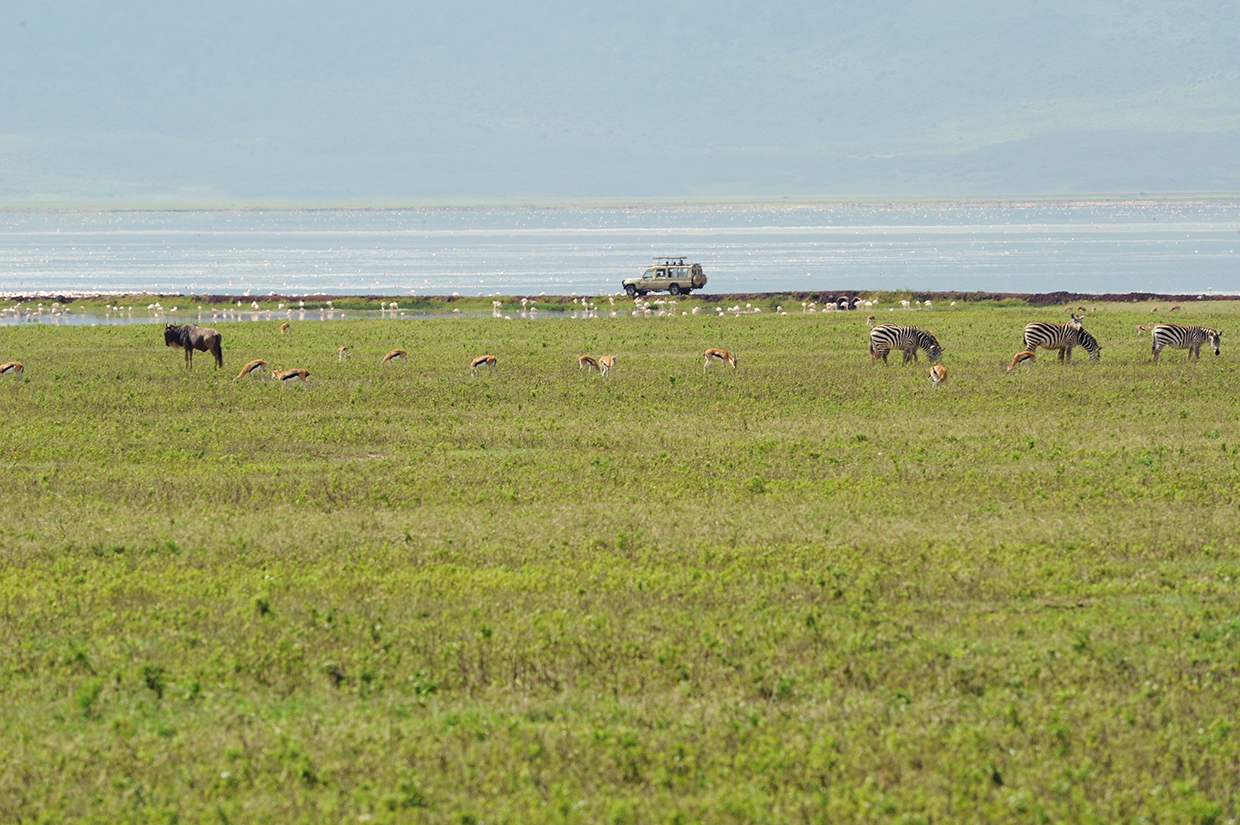 Tanzania Karatu Ngorongoro Arusha Ph. Silvia Dogliani Tan 0349 1240