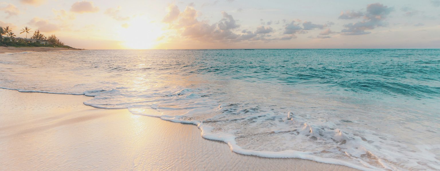 Ph. Sean Oulashin -Unsplash 