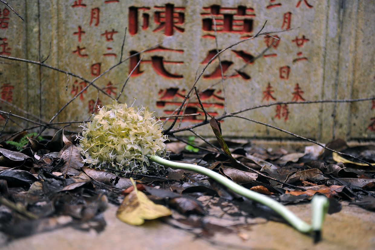 Singapore sgc 9688 ph. silvia dogliani 1240