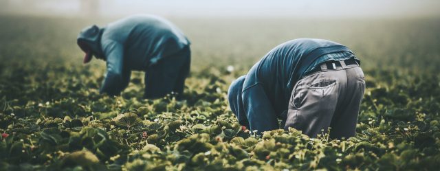 Slider Tim mossholder migrants at work unsplash 1540x600