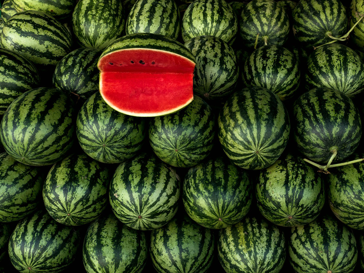 Crina miriam cretu ynp watermelon unsplash