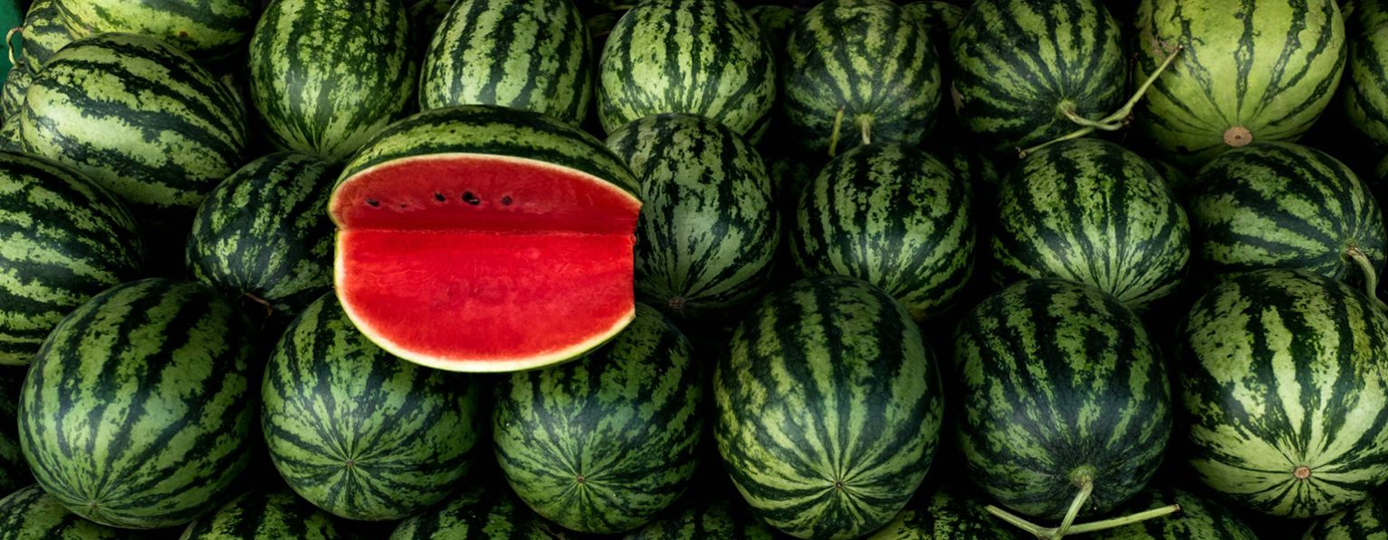 Slider crina miriam cretu ynp watermelon unsplash 1540x600