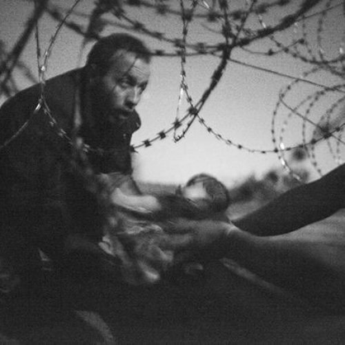 Migrants crossing the border from Serbia into Hungary.