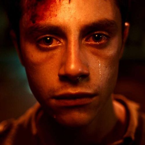 The vanishing soldier, film di Dani Rosenberg